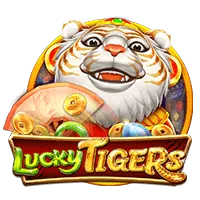 Immersive Live Casino Experience on 8k8 com